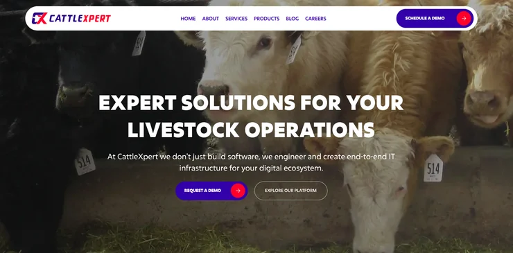 CattleXpert website homepage: expert solutions for your livestock operations