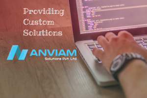 Providing Custom Solutions