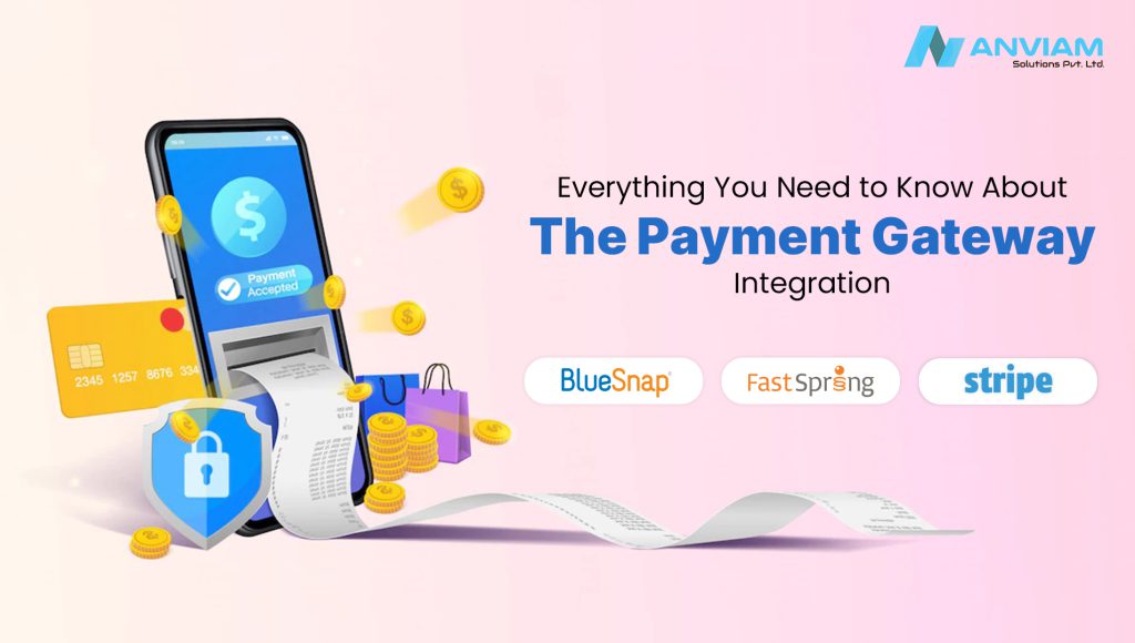 Everything You Need to Know About the Payment Gateway Integration: BlueSnap, Stripe, FastSpring